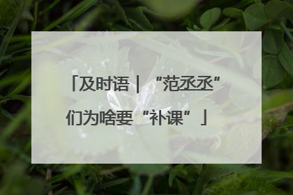 及时语｜“范丞丞”们为啥要“补课”