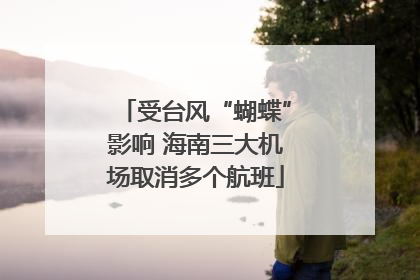 受台风“蝴蝶”影响 海南三大机场取消多个航班