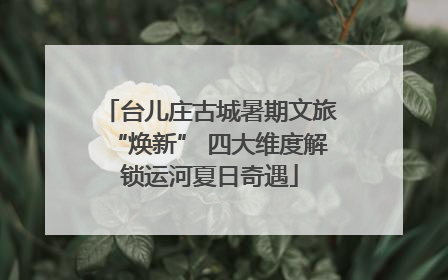 台儿庄古城暑期文旅“焕新” 四大维度解锁运河夏日奇遇