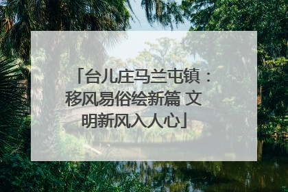 台儿庄马兰屯镇：移风易俗绘新篇 文明新风入人心