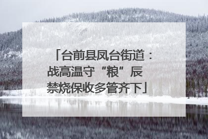 台前县凤台街道：战高温守“粮”辰 禁烧保收多管齐下