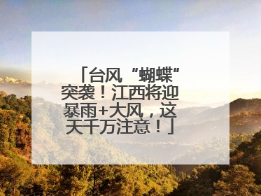 台风“蝴蝶”突袭！江西将迎暴雨+大风，这天千万注意！
