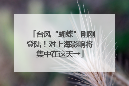 台风“蝴蝶”刚刚登陆！对上海影响将集中在这天→