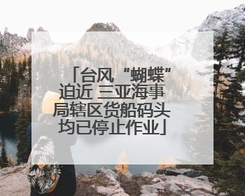 台风“蝴蝶”迫近 三亚海事局辖区货船码头均已停止作业