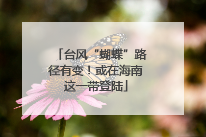 台风“蝴蝶”路径有变！或在海南这一带登陆