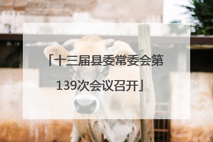 十三届县委常委会第139次会议召开