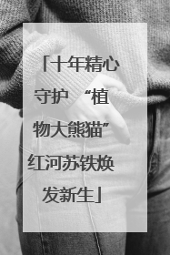 十年精心守护 “植物大熊猫”红河苏铁焕发新生