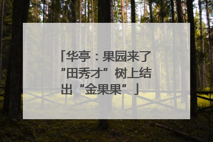 华亭：果园来了“田秀才”树上结出“金果果”
