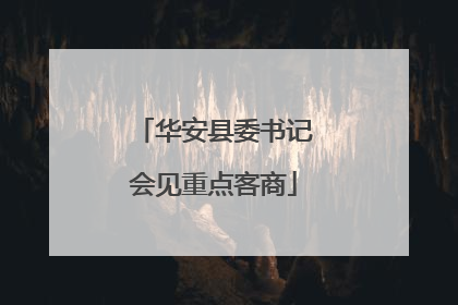 华安县委书记会见重点客商