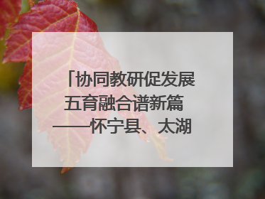 协同教研促发展 五育融合谱新篇——怀宁县、太湖县联合教研活动在月山镇中心学校成功举办