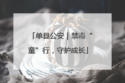 单县公安｜禁毒“童”行，守护成长