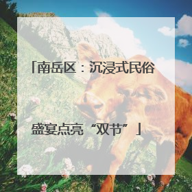 南岳区：沉浸式民俗盛宴点亮“双节”