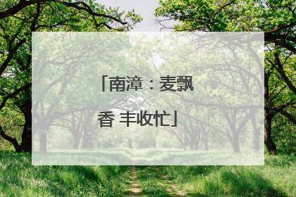 南漳：麦飘香 丰收忙