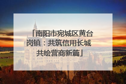南阳市宛城区黄台岗镇：共筑信用长城 共绘营商新篇