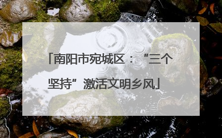 南阳市宛城区：“三个坚持”激活文明乡风