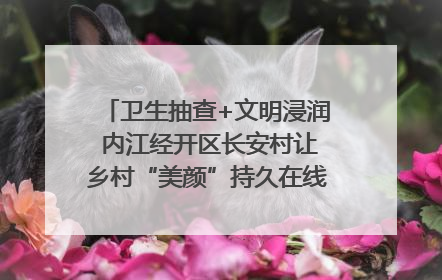 卫生抽查+文明浸润 内江经开区长安村让乡村“美颜”持久在线｜万千气象看四川
