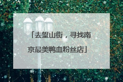 去望山街，寻找南京最美鸭血粉丝店
