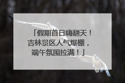 假期首日嗨翻天！吉林景区人气爆棚，端午氛围拉满！