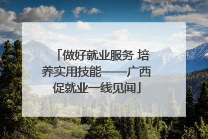 做好就业服务 培养实用技能——广西促就业一线见闻