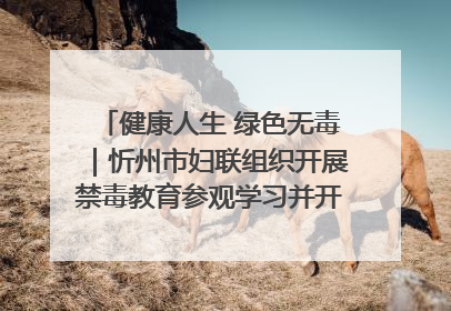 健康人生 绿色无毒｜忻州市妇联组织开展禁毒教育参观学习并开展主题党日活动
