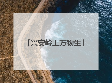 兴安岭上万物生