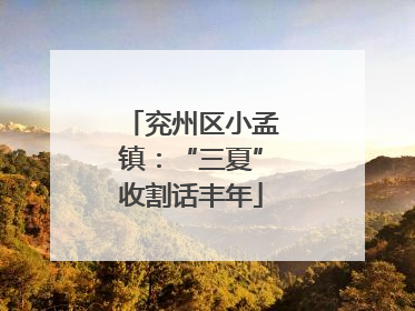 兖州区小孟镇：“三夏”收割话丰年