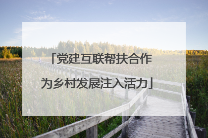 党建互联帮扶合作 为乡村发展注入活力