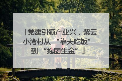 党建引领产业兴，紫云小湾村从 “靠天吃饭” 到 “抱团生金”