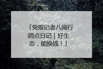 党报记者八闽行·蹲点日记｜好生态，能换钱！