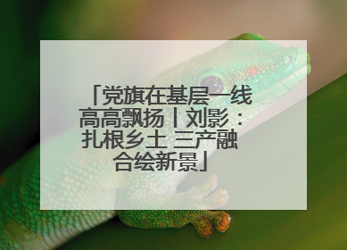 党旗在基层一线高高飘扬丨刘影：扎根乡土 三产融合绘新景