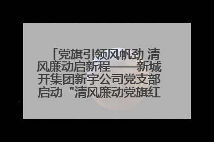 党旗引领风帆劲 清风廉动启新程——新城开集团新宇公司党支部启动“清风廉动党旗红”系列活动