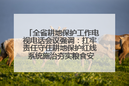 全省耕地保护工作电视电话会议强调：扛牢责任守住耕地保护红线 系统施治夯实粮食安全根基 王宁作出批示 王予波出席并讲话