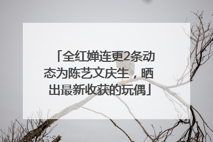 全红婵连更2条动态为陈艺文庆生，晒出最新收获的玩偶