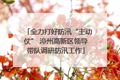 全力打好防汛“主动仗” 漳州高新区领导带队调研防汛工作