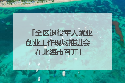 全区退役军人就业创业工作现场推进会在北海市召开