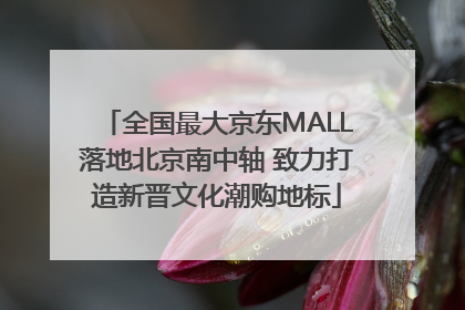 全国最大京东MALL落地北京南中轴 致力打造新晋文化潮购地标