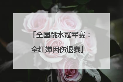 全国跳水冠军赛：全红婵因伤退赛