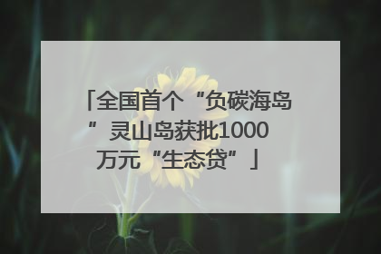 全国首个“负碳海岛”灵山岛获批1000万元“生态贷”