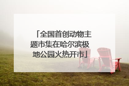 全国首创动物主题市集在哈尔滨极地公园火热开市