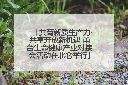 共育新质生产力·共享开放新机遇 甬台生命健康产业对接会活动在北仑举行