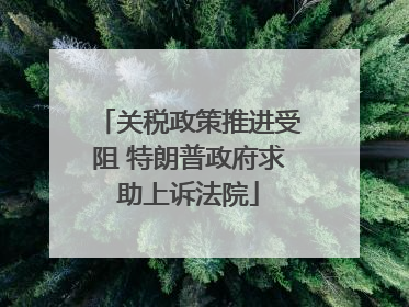 关税政策推进受阻 特朗普政府求助上诉法院