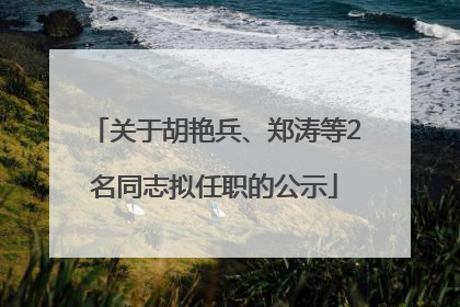 关于胡艳兵、郑涛等2名同志拟任职的公示