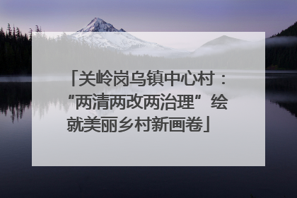 关岭岗乌镇中心村：“两清两改两治理”绘就美丽乡村新画卷