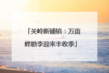 关岭新铺镇：万亩蜂糖李迎来丰收季