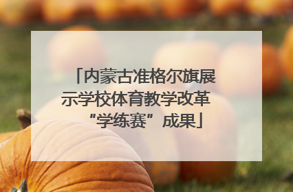 内蒙古准格尔旗展示学校体育教学改革“学练赛”成果