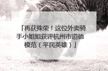 再获殊荣！这位外卖骑手小姐姐获评杭州市道德模范（平民英雄）