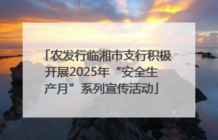 农发行临湘市支行积极开展2025年“安全生产月”系列宣传活动
