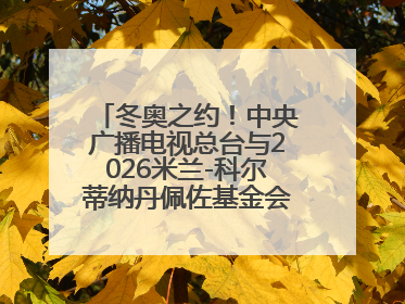 冬奥之约！中央广播电视总台与2026米兰-科尔蒂纳丹佩佐基金会达成合作