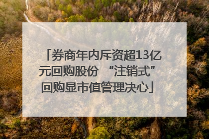 券商年内斥资超13亿元回购股份 “注销式”回购显市值管理决心