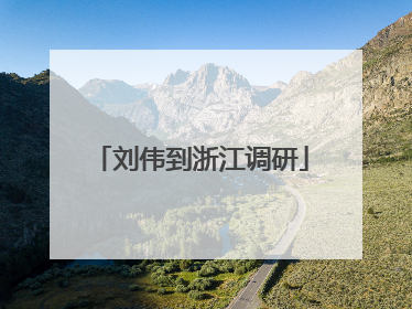 刘伟到浙江调研
